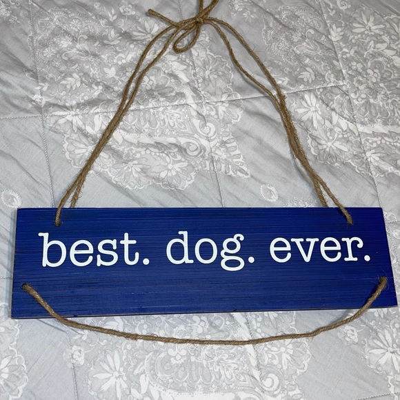 🌵BEST DOG EVER !! 🐶 - Picture 7 of 8